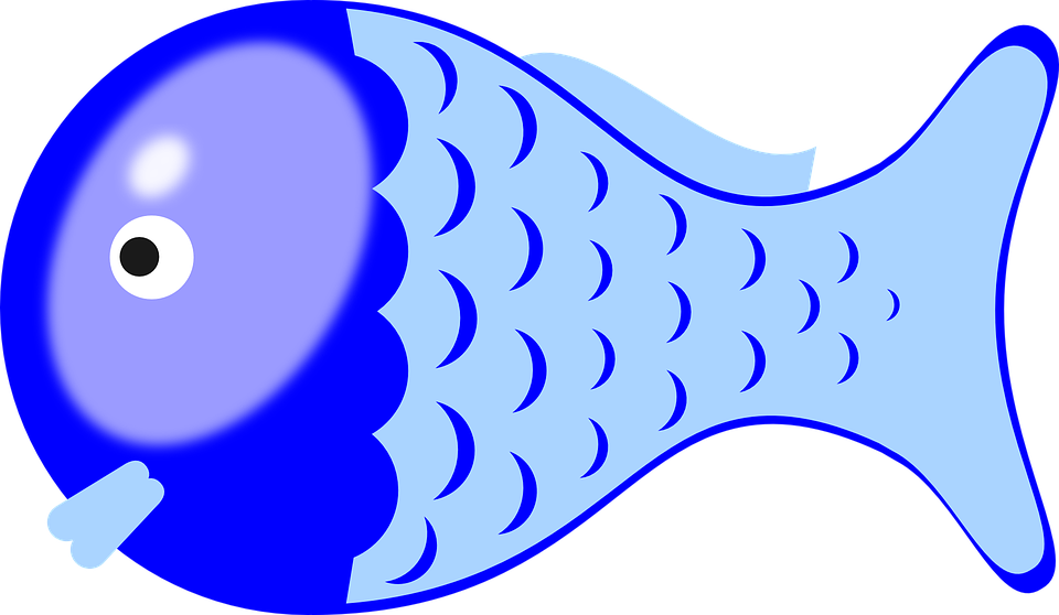 Gambar Ikan Paus Kartun