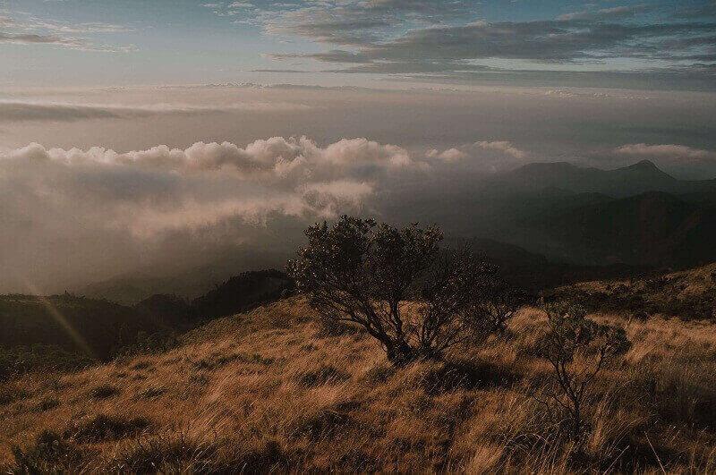 Gunung Lawu (Misteri, Rute, Jalur Pendakian, Warung Mbok 