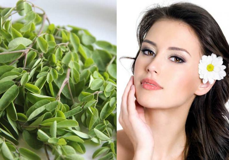 Manfaat daun kelor untuk kesehatan dan kecantikan